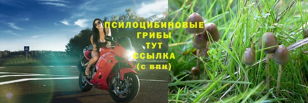 MDMA Premium VHQ Лихославль