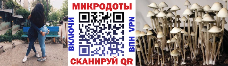 Галлюциногенные грибы мухоморы  Николаевск 